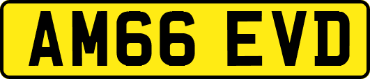 AM66EVD