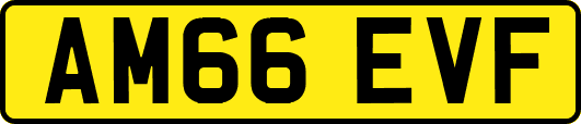 AM66EVF