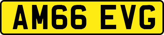 AM66EVG