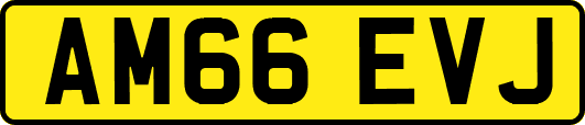 AM66EVJ