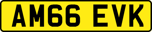 AM66EVK