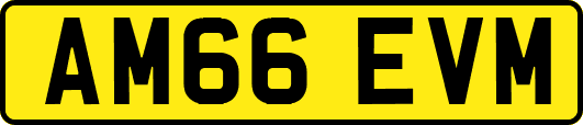AM66EVM