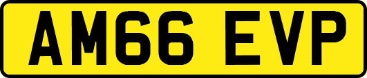 AM66EVP