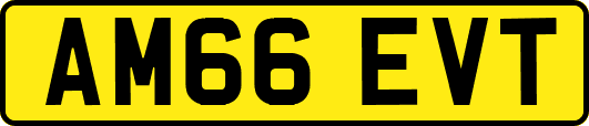 AM66EVT