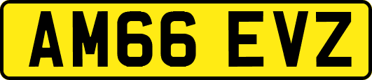 AM66EVZ