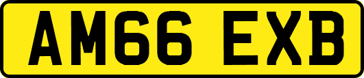 AM66EXB