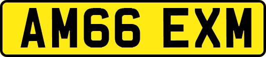AM66EXM