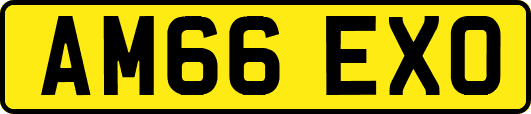 AM66EXO