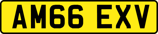 AM66EXV