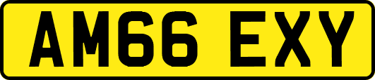 AM66EXY