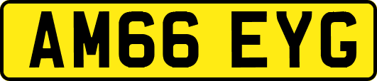 AM66EYG