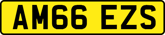 AM66EZS