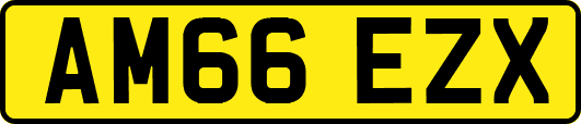 AM66EZX
