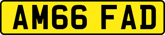 AM66FAD