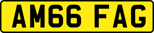 AM66FAG