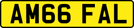 AM66FAL