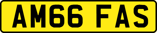 AM66FAS