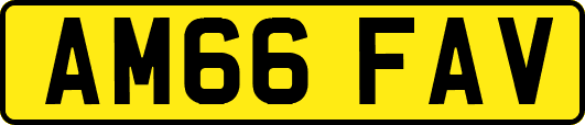 AM66FAV