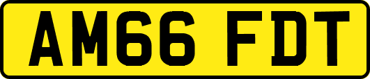 AM66FDT