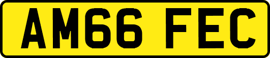 AM66FEC