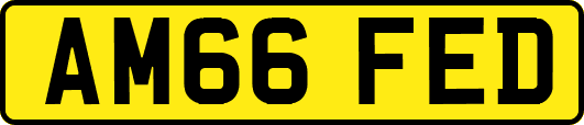 AM66FED