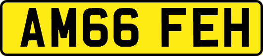 AM66FEH