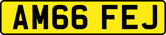 AM66FEJ