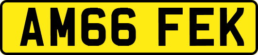 AM66FEK