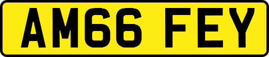AM66FEY