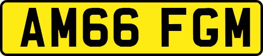 AM66FGM