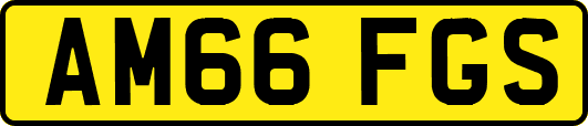 AM66FGS