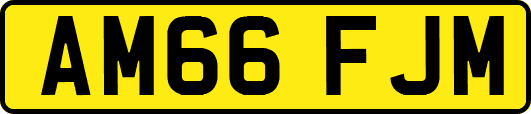 AM66FJM