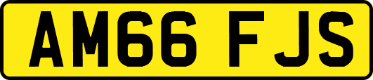 AM66FJS