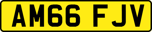 AM66FJV