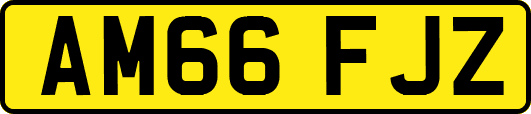 AM66FJZ