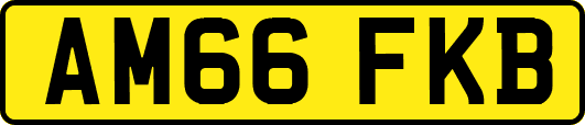 AM66FKB