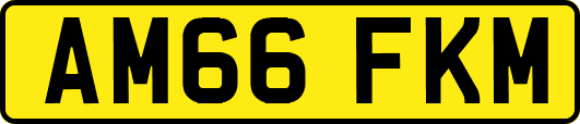 AM66FKM