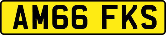 AM66FKS
