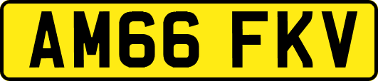 AM66FKV