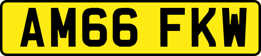 AM66FKW