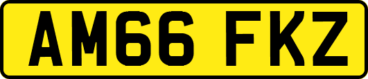 AM66FKZ