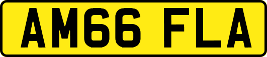 AM66FLA