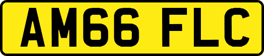AM66FLC