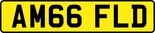 AM66FLD