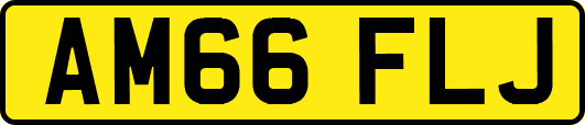 AM66FLJ