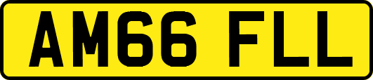 AM66FLL