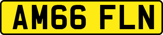 AM66FLN