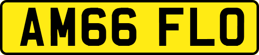 AM66FLO