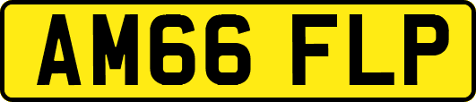 AM66FLP