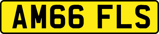 AM66FLS